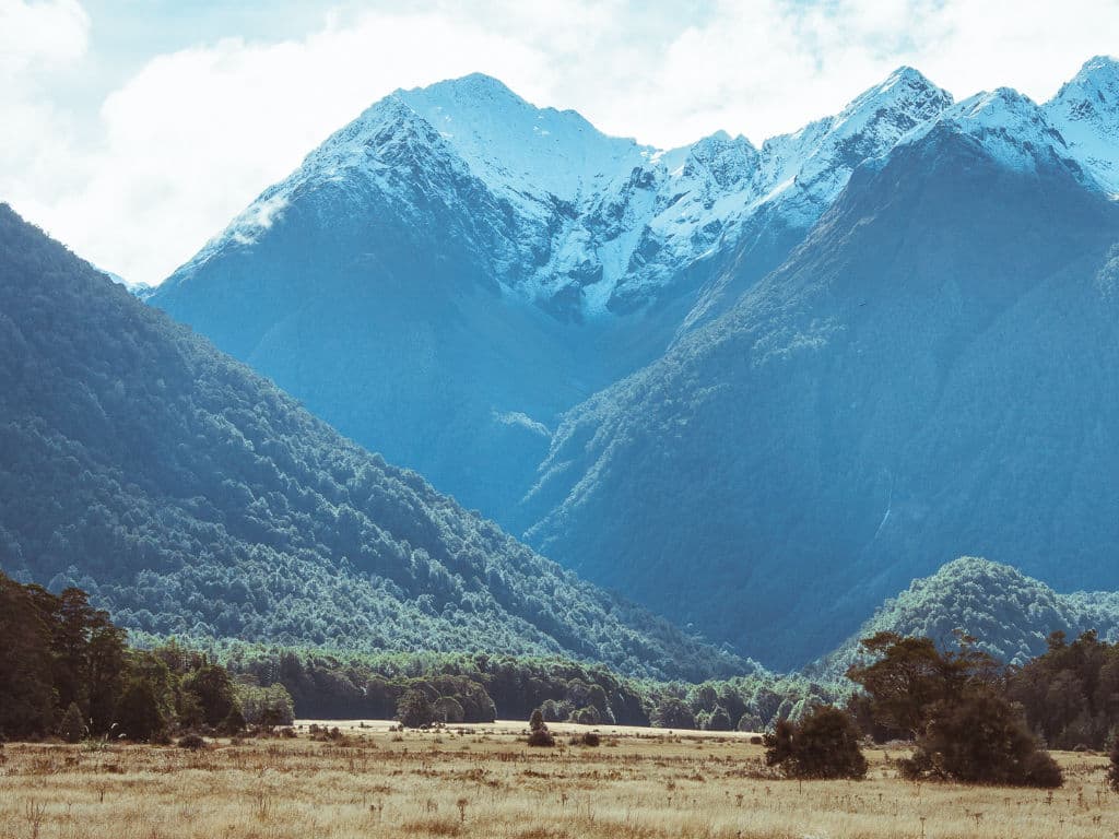 Un câmp verde vibrant se întinde, încadrat de un munte impunător în depărtare, pe fundalul unui cer luminos